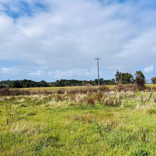Propiedad Rural 10 Has El Roble - Galpón, Praderas y Bosque Nativo | Oportunidad de Inversión