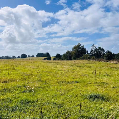 Propiedad Rural 10 Has El Roble - Galpón, Praderas y Bosque Nativo | Oportunidad de Inversión