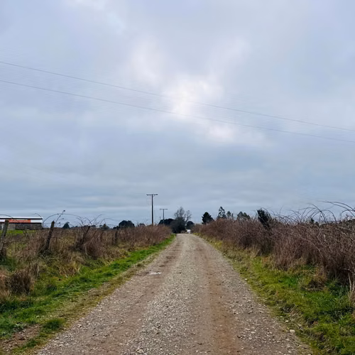 Propiedad Rural 10 Has El Roble - Galpón, Praderas y Bosque Nativo | Oportunidad de Inversión