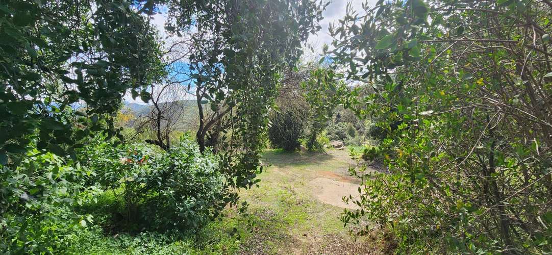 Casa 2D/2B en parcela de 6.100 m² con bosque nativo - Imagen 17