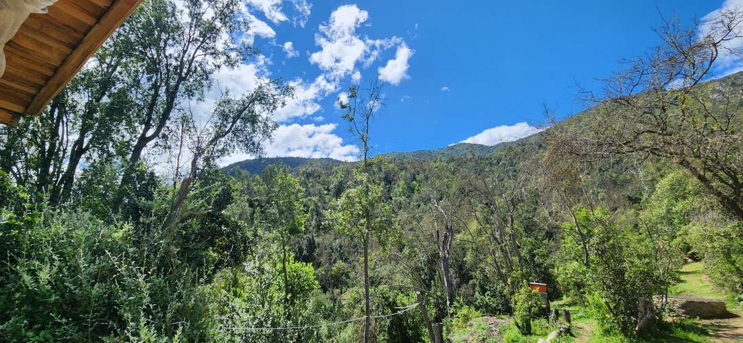 Casa 2D/2B en parcela de 6.100 m² con bosque nativo - Imagen 13
