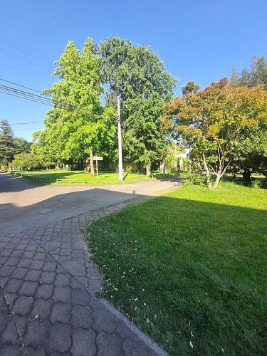 ARRIENDO  AMPLIA CASA  EN SECTOR RESIDENCIAL - Imagen 9