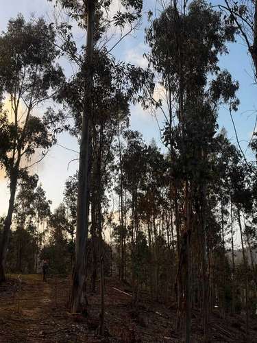 parcelas con luz y agua a tan 30 minutos de cp (182871)