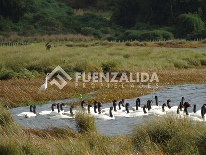 Vende Primera Línea terreno Pullao Península Rilán Castro - Imagen 9