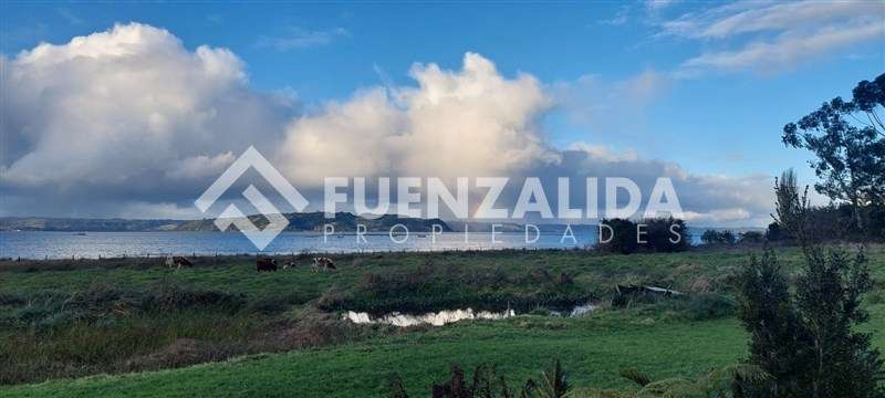 Vende Primera Línea terreno Pullao Península Rilán Castro - Imagen 25