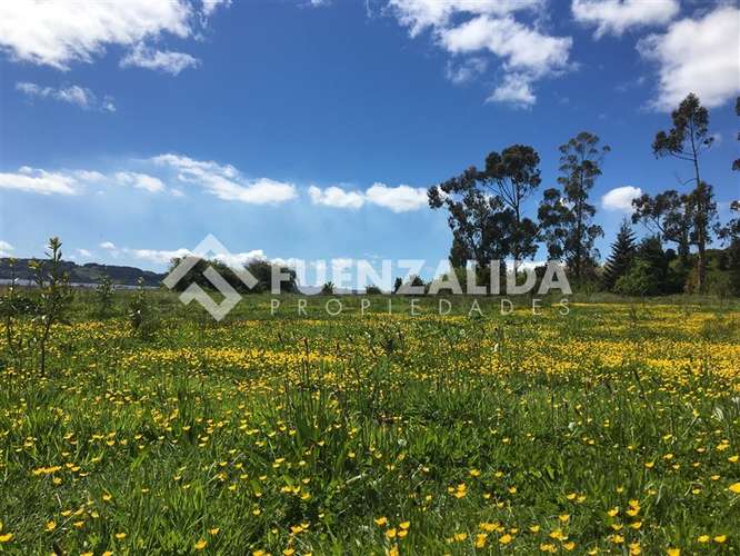 Vende Primera Línea terreno Pullao Península Rilán Castro - Imagen 31