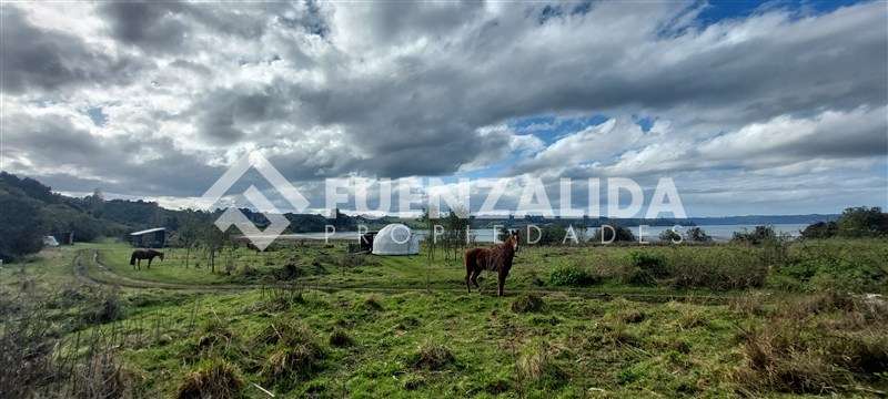Vende Primera Línea terreno Pullao Península Rilán Castro - Imagen 26