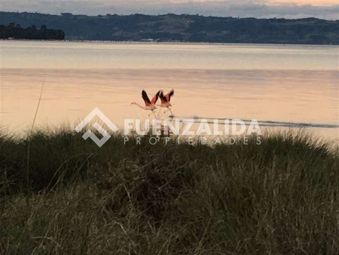 Vende Primera Línea terreno Pullao Península Rilán Castro - Imagen 11
