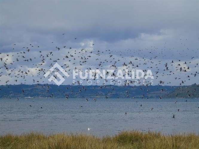 Vende Primera Línea terreno Pullao Península Rilán Castro - Imagen 30