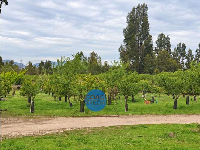 Parcela gran Casa, Cabaña, piscina y quincho en Foresta de Zapallar