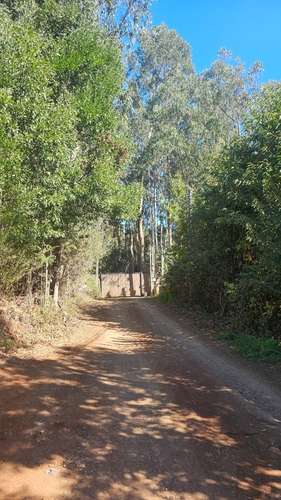 Sitio SAN PEDRO DE LA PAZ - Imagen 3