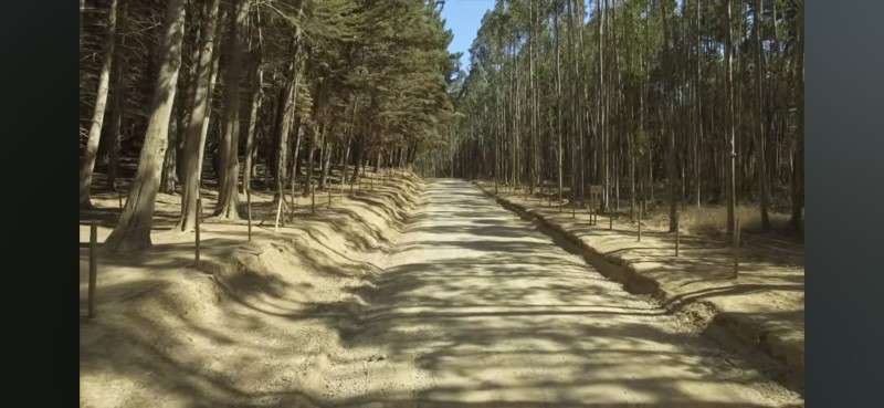 Parcela QUINCHEUMO/ PICHILEMU - Imagen 8