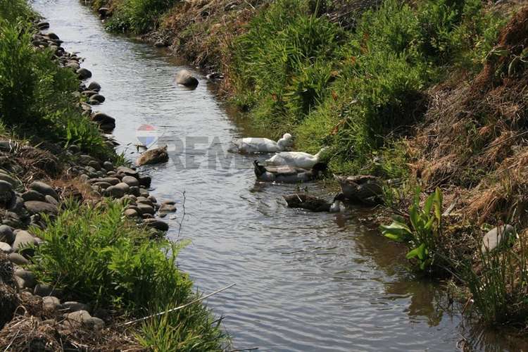 "refugio agrícola en el corazón del maule"