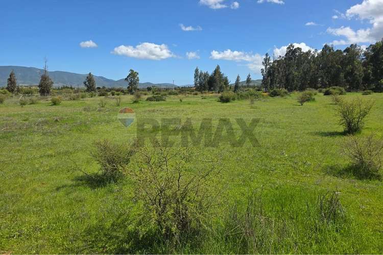 Parcela de 13.422 m2 en la foresta de zapallar