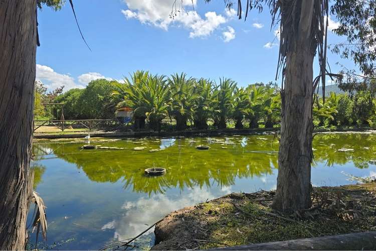 Parcela de 13.422 m2 en la foresta de zapallar