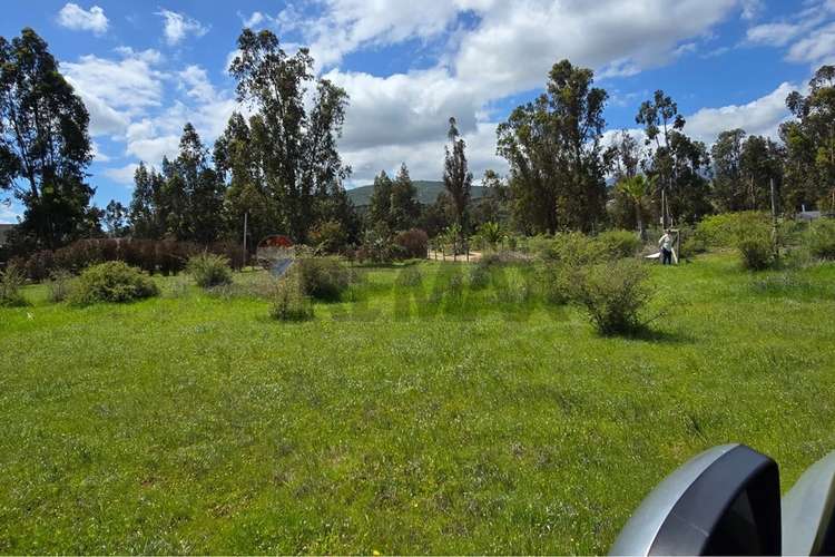 Parcela de 13.422 m2 en la foresta de zapallar