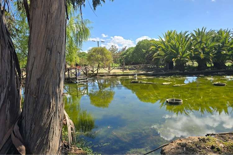 Parcela de 13.422 m2 en la foresta de zapallar