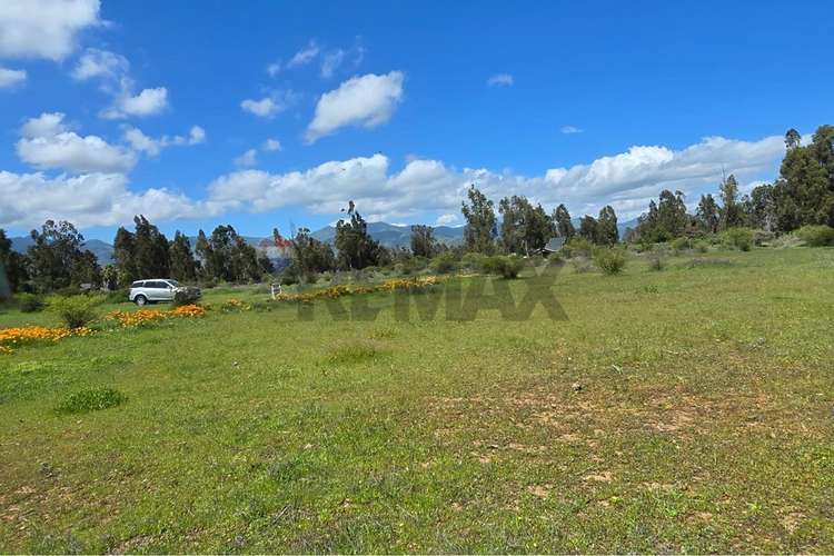 Parcela de 13.422 m2 en la foresta de zapallar