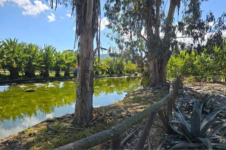Parcela de 13.422 m2 en la foresta de zapallar