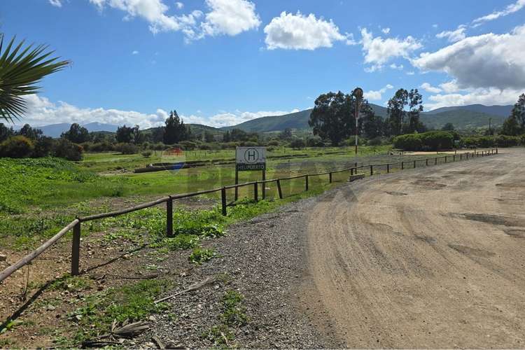 Parcela de 13.422 m2 en la foresta de zapallar