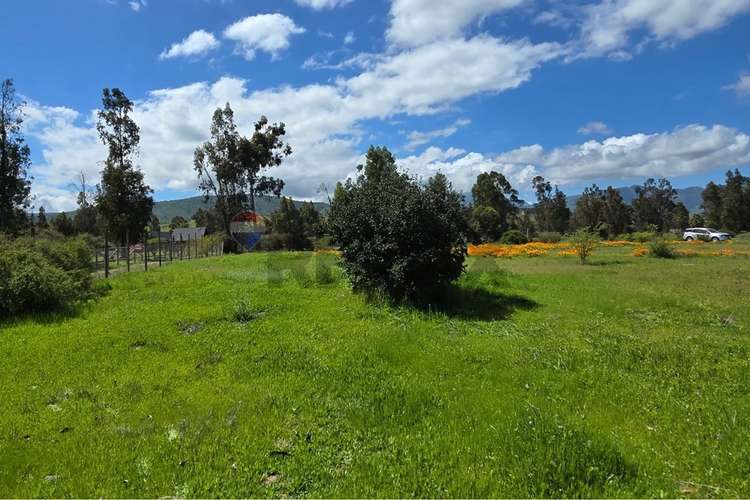 Parcela de 13.422 m2 en la foresta de zapallar