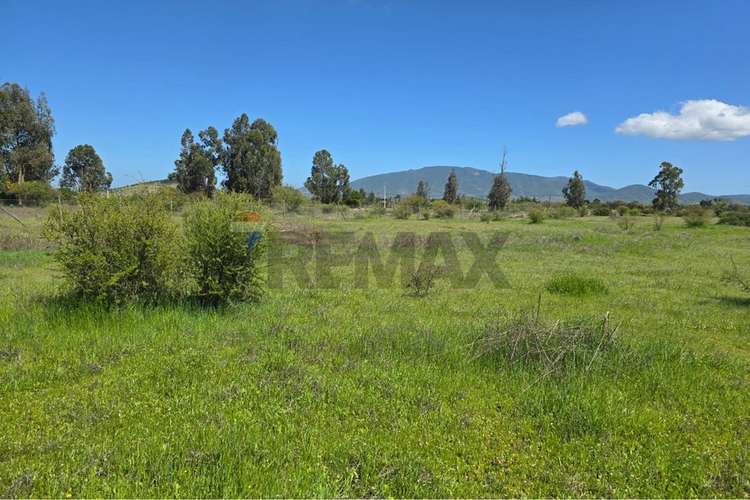 Parcela de 13.422 m2 en la foresta de zapallar