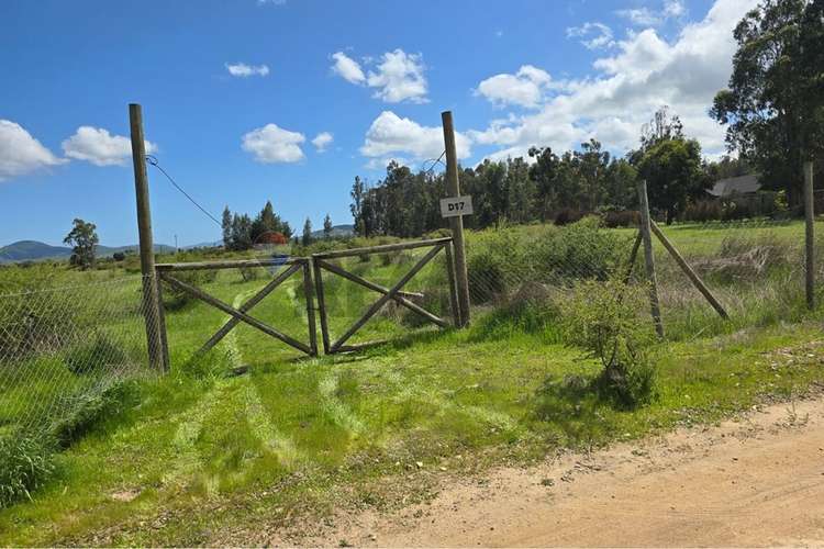 Parcela de 13.422 m2 en la foresta de zapallar