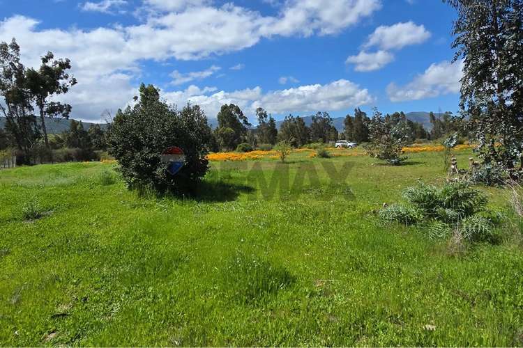 Parcela de 13.422 m2 en la foresta de zapallar