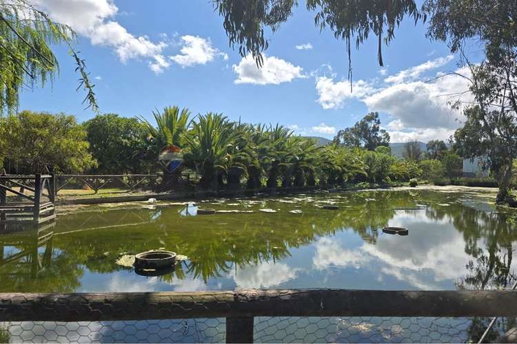 Parcela de 13.422 m2 en la foresta de zapallar