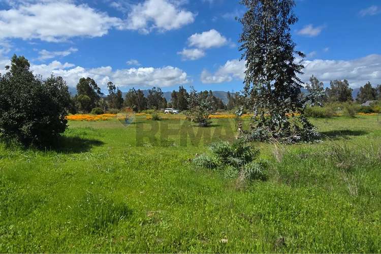 Parcela de 13.422 m2 en la foresta de zapallar