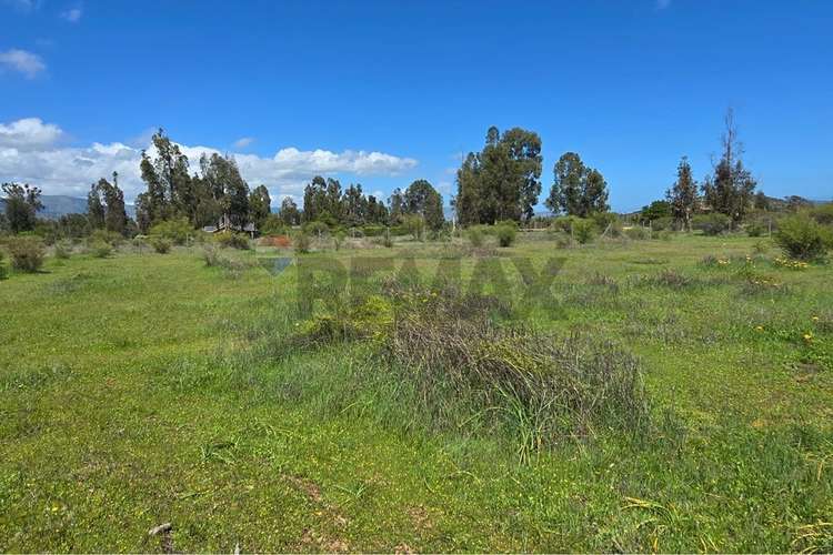 Parcela de 13.422 m2 en la foresta de zapallar