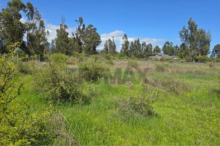 Parcela de 13.422 m2 en la foresta de zapallar