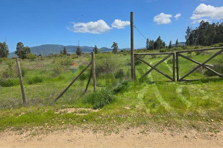 Parcela de 13.422 m2 en la foresta de zapallar
