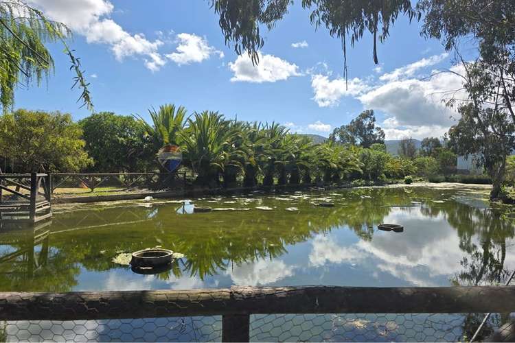 Parcela de 13.422 m2 en la foresta de zapallar