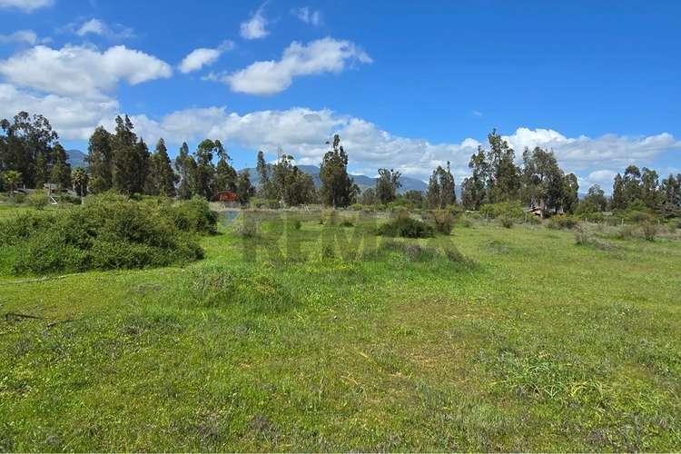 Parcela de 13.422 m2 en la foresta de zapallar