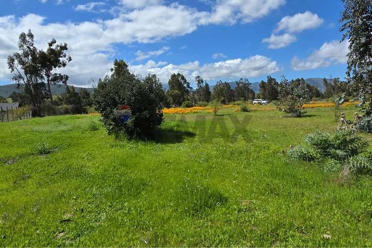 Parcela de 13.422 m2 en la foresta de zapallar