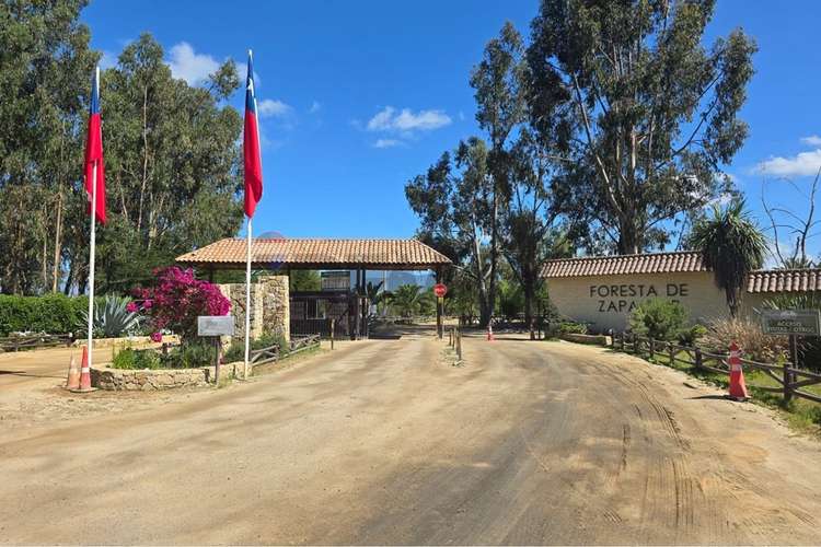 Parcela de 13.422 m2 en la foresta de zapallar