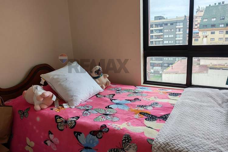 Amplio depto remodelado en concepción - Imagen 18