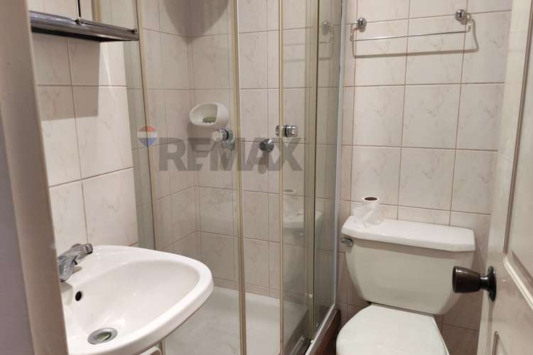 Amplio depto remodelado en concepción - Imagen 21