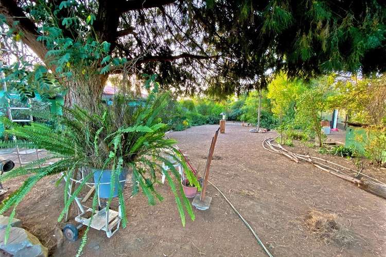Venta de parcela en limache - Imagen 36