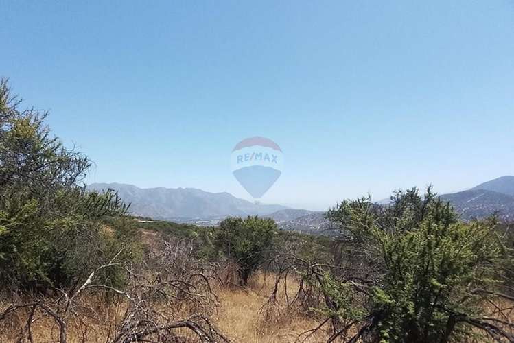 Oasis la campana parcela rebajada - Imagen 7