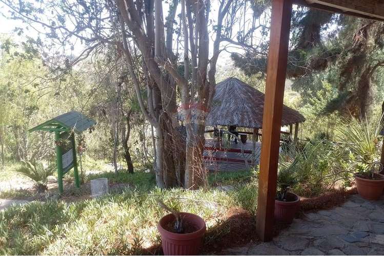 Oasis la campana parcela rebajada - Imagen 16