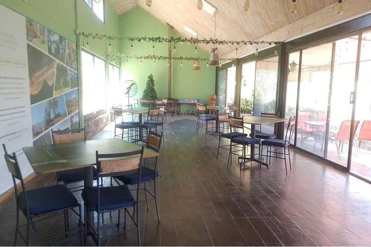 Oasis la campana parcela rebajada - Imagen 22