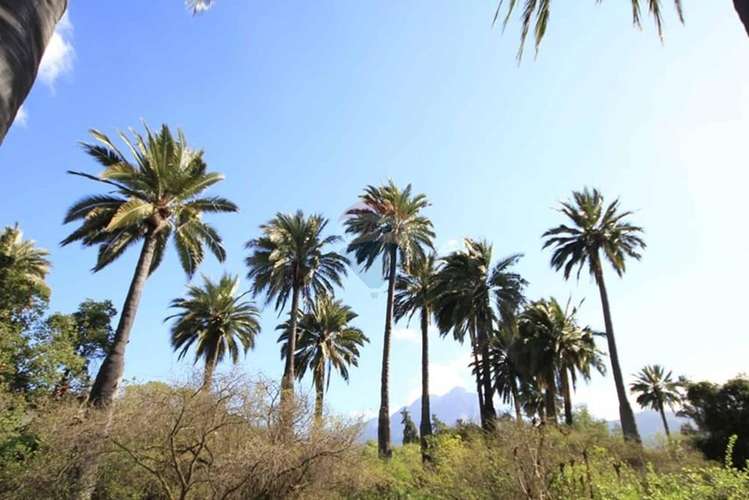 Parcela - oasis de la campana, 5.131 m² - Imagen 5