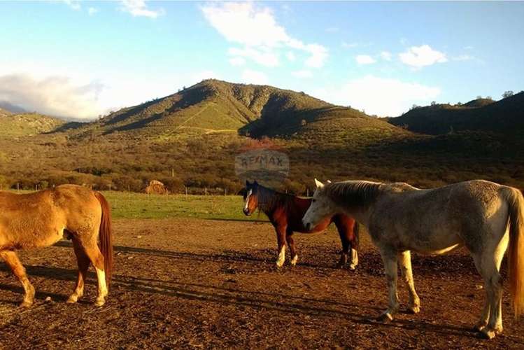 Parcela - oasis de la campana, 5.131 m² - Imagen 15