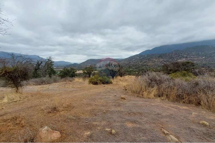 Parcela - oasis de la campana, 5.131 m² - Imagen 24