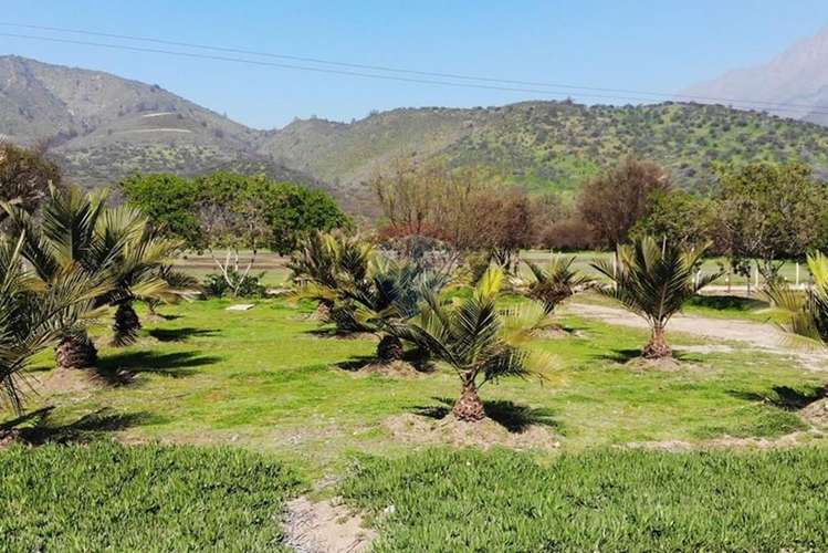 Parcela - oasis de la campana, 5.131 m² - Imagen 16
