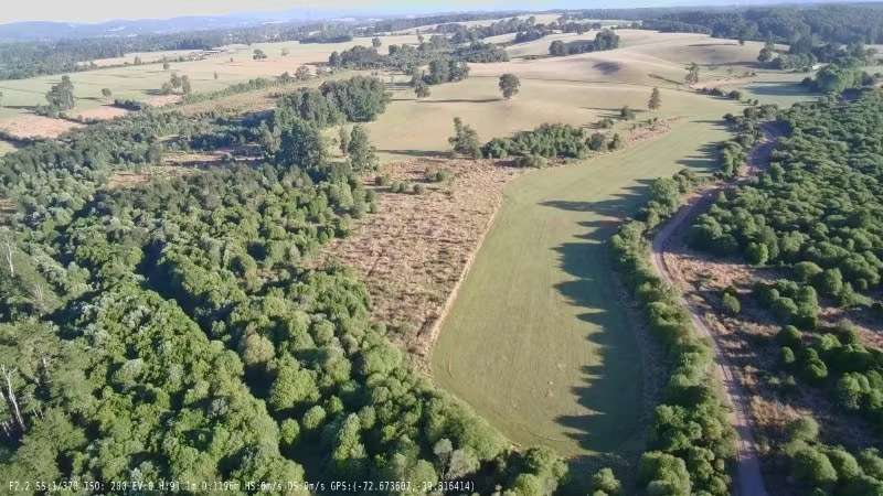88 HECTÁREAS PLANAS CON ESTERO EN TANTAUCO LOS LAGOS