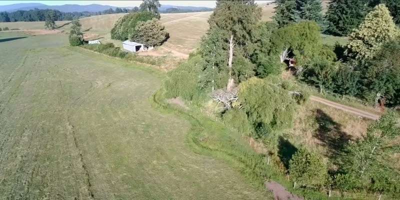 88 HECTÁREAS PLANAS CON ESTERO EN TANTAUCO LOS LAGOS