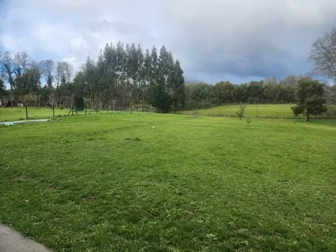 HERMOSA PARCELA EN SECTOR CATRIPULLI DE VALDIVIA - Imagen 6